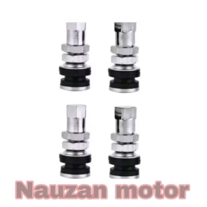 Válvula Tubeless De Ferro Curto