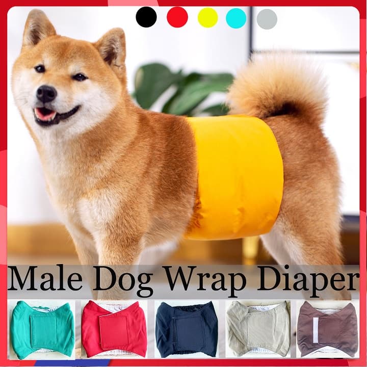 Calça Fisiológica À Prova D'água Para Cachorro De Estimação Reutilizável Macho