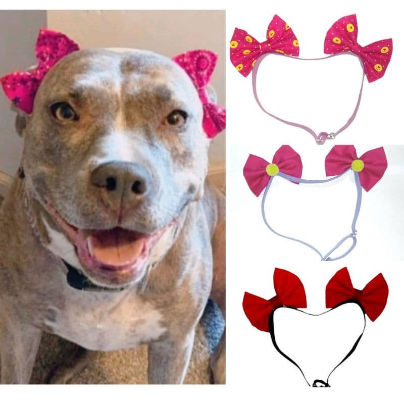 Laços Pet Tiara para Pêlo Curto para Cães Cachorra Fêmeas  Regulável