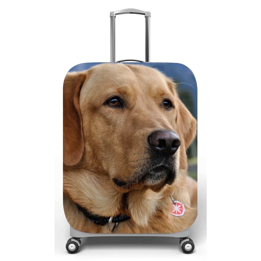 Capa para mala de viagem P, M, G Onboard, medidas max C35x A55 x P23cm Labrador Caramelo