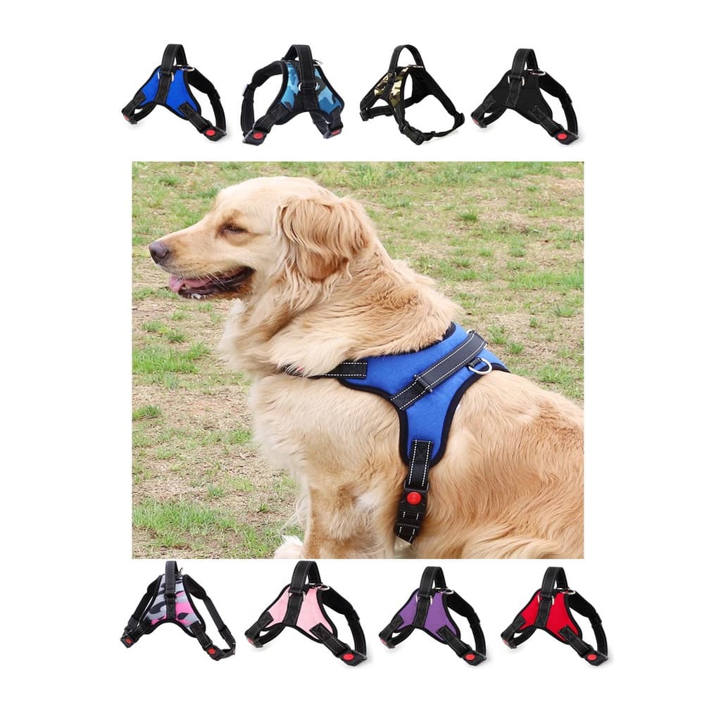Peitoral Coleira C/ Regulagem Dupla Trava de Segurança Cães Cachorro Pequeno Médio Grande Porte Gato Pet LR-0072