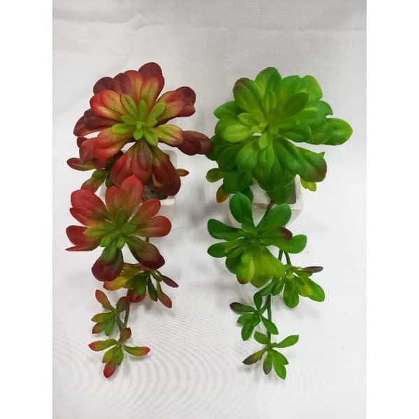 Planta Arboreum Aeonium Suculenta Artificial Decoração Parede Jardim