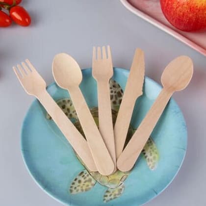 Talher Descartavel de Madeira Refeição 30 Unidades