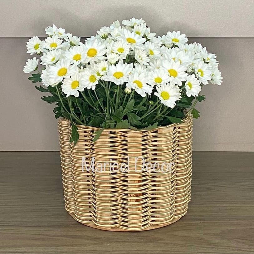 Vaso de Planta Cachepô 20x15cm Crisântemo Redondo de Fio