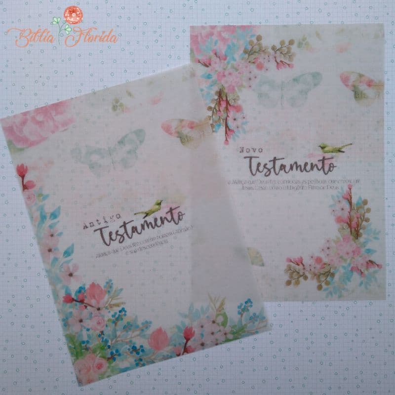 Velluns: Antigo e Novo Testamento - Bible Journaling