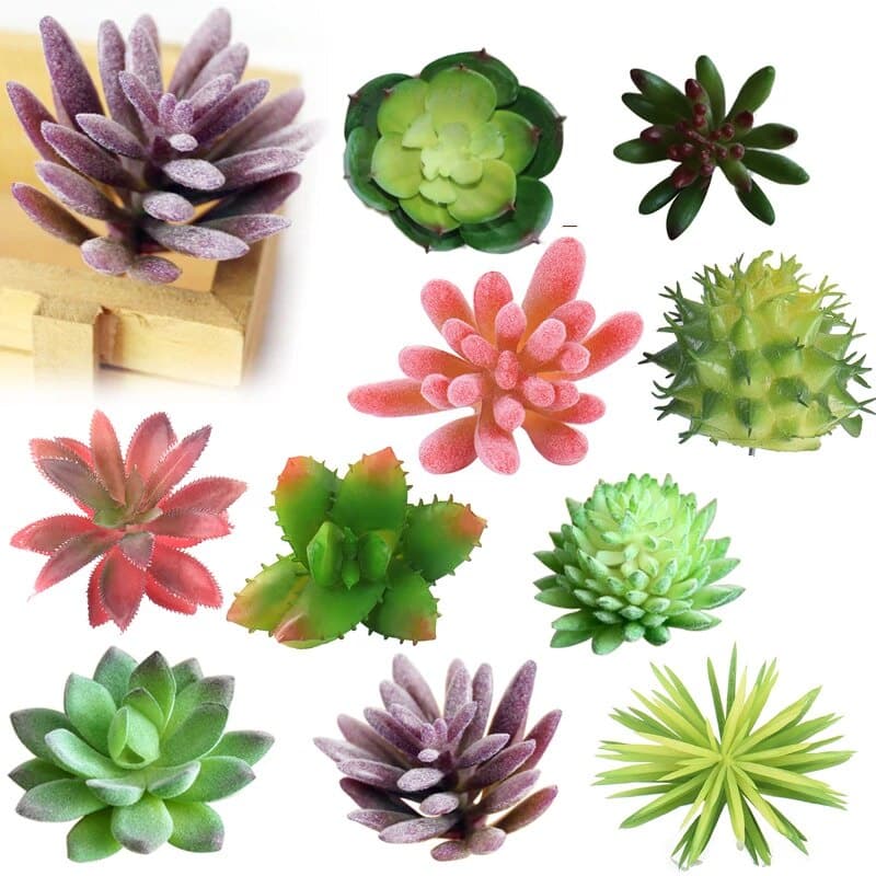 Suculenta Artificial Decorativas Sortidas