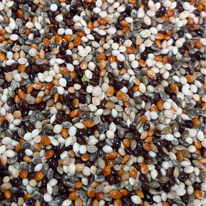 Mistura de Painço 1kg