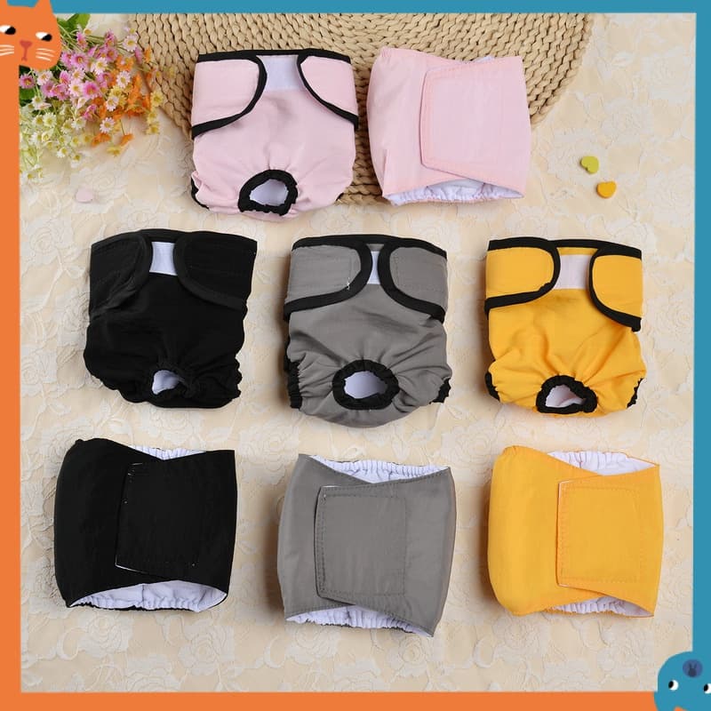 【 In Stock 】 Solid Atualização De Cor Calças Fisiológicas Femininas E Masculinas À Prova D'água Cachorro Calção Lavável