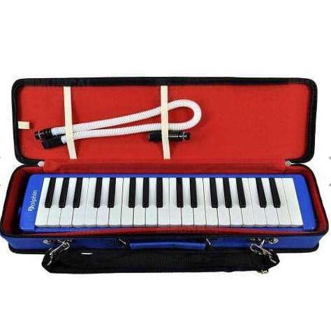 Escaleta 37 Teclas Com Case Dolphin Azul