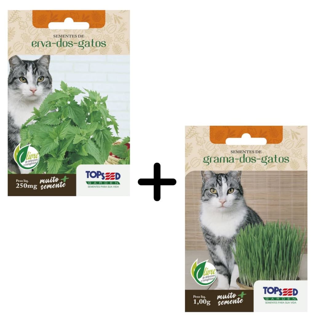 Kit Semente Erva dos Gatos[Catnip] +Grama[Cat Grass] TOPSEED