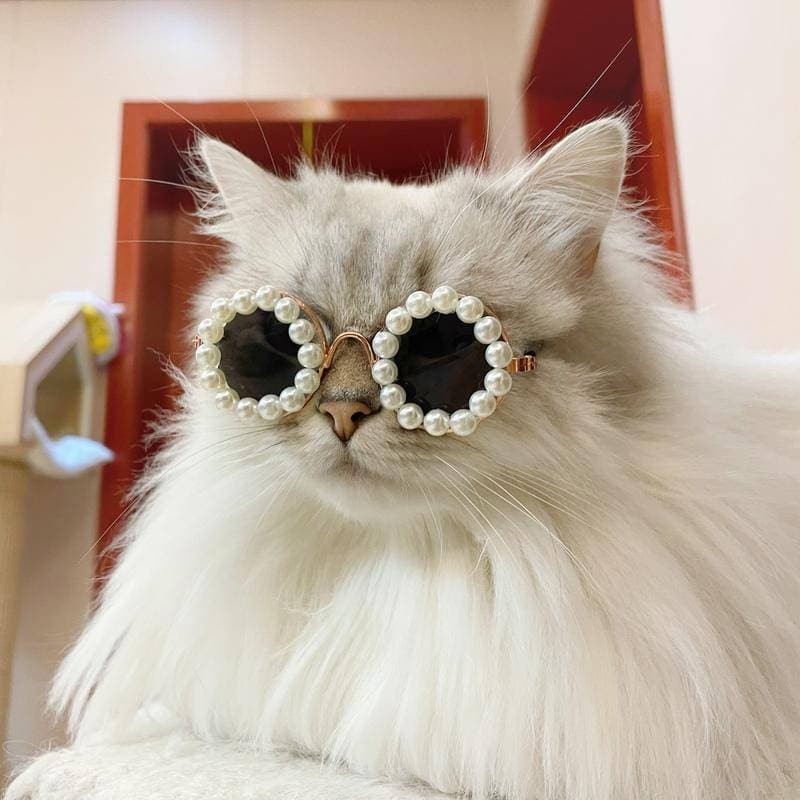 Óculos Para Cachorro De Sol Gatos Animais De Estimação Moda Fofa Cosplay
