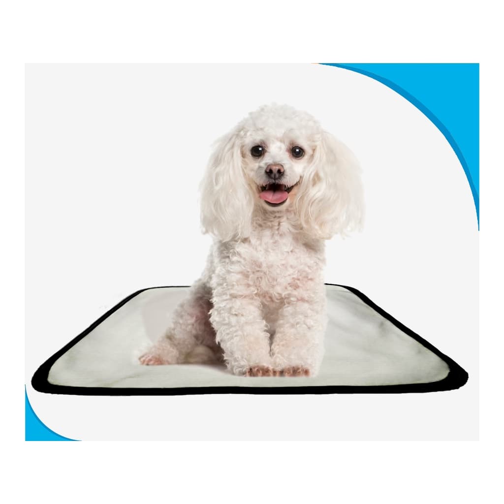 Tapete higiênico dog adestramento 1 unidade P - 50x60 cm