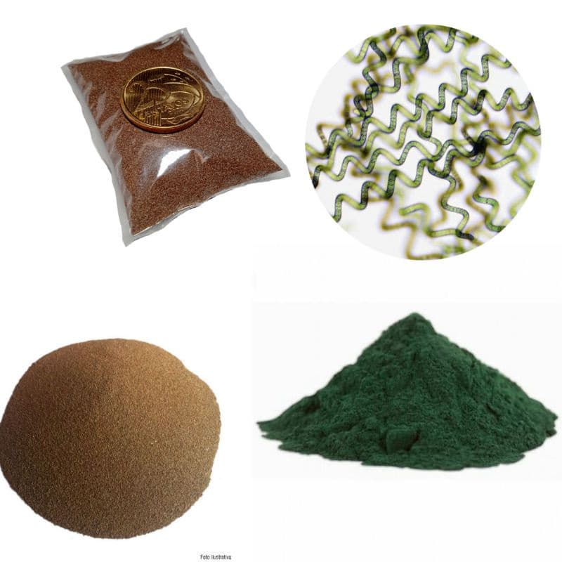 Artêmia Salina + Spirulina
