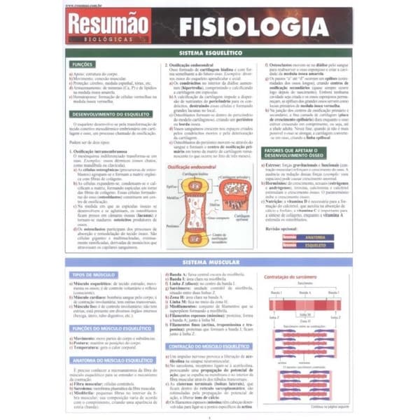Livro - Resumao - Fisiologia