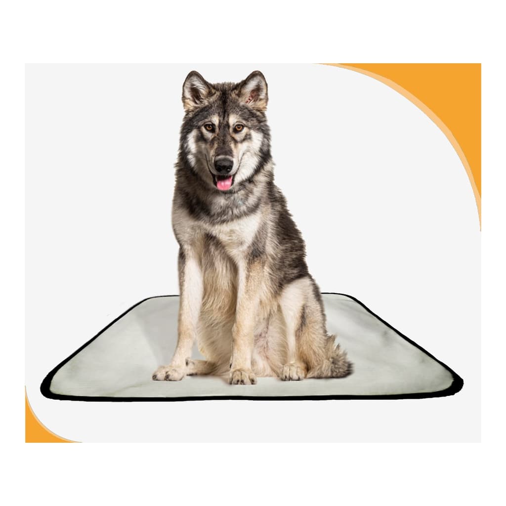 Fralda móvel pet para cachorros lavável 1un G 90x100cm