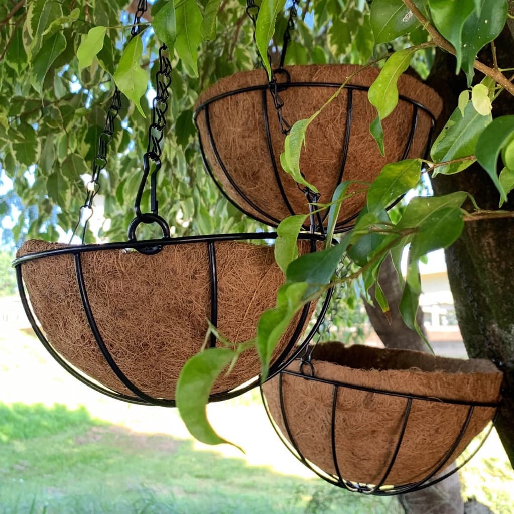 5 Vasos de Fibra de Coco 30cm Plantas Suspenso com Corrente