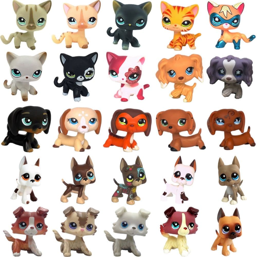 LPS CAT pequena loja rara bobble cabeça muito IC63.
