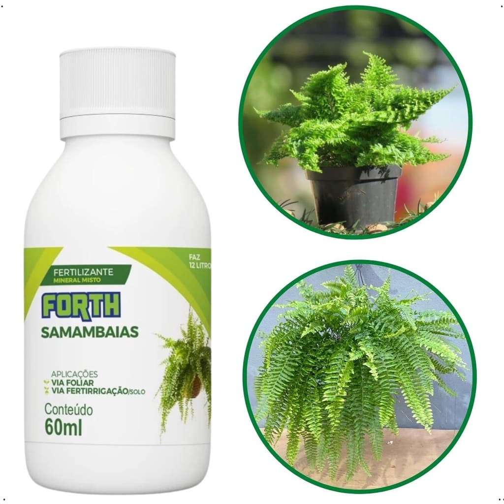 FORTH SAMAMBAIAS 08-03-06 + ME CONCENTRADO 60ML