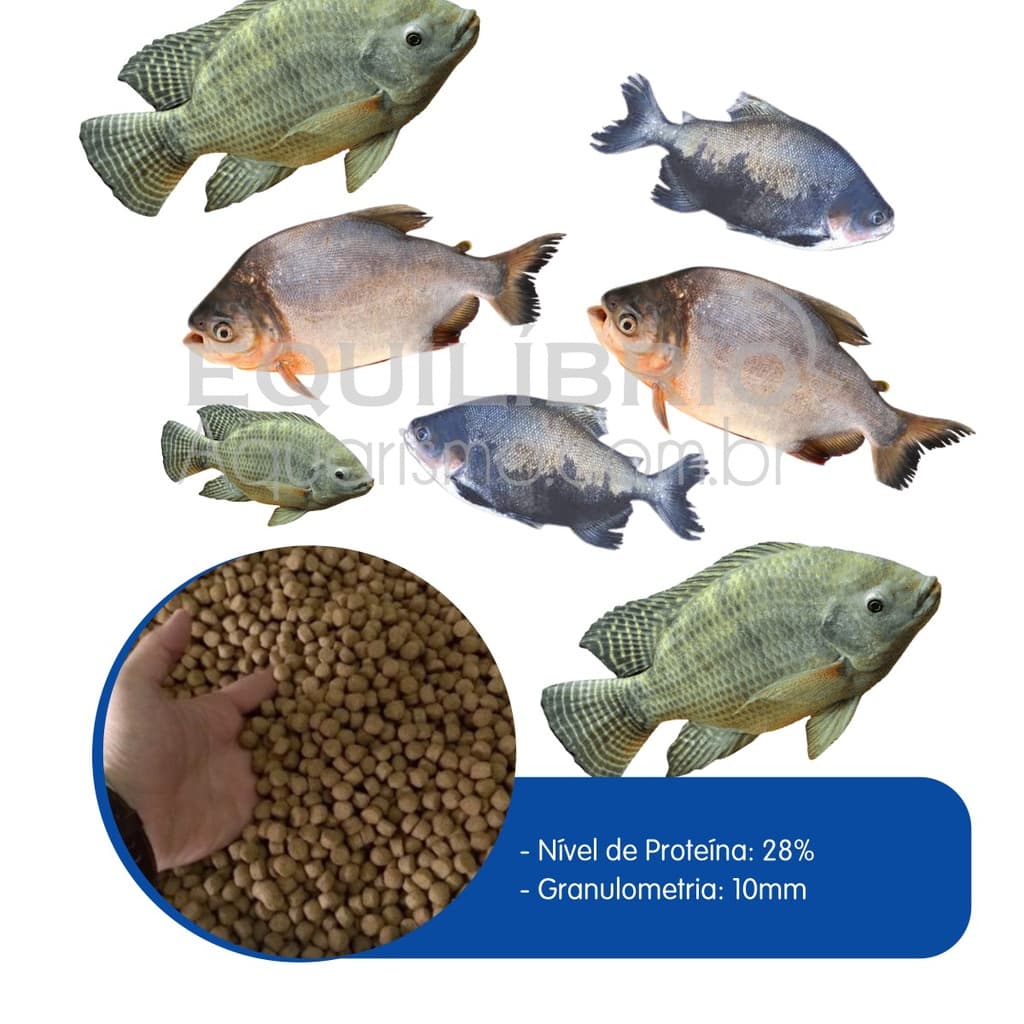 Ração P/ Carpas, Tilapias E Outros Grande Porte (10mm) 1kg