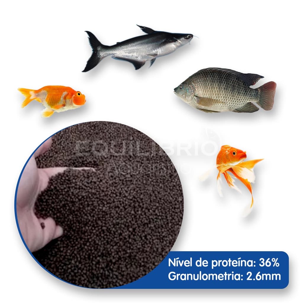 Ração Para Carpas, Kinguios, Tilápias E Outros - 2 kg