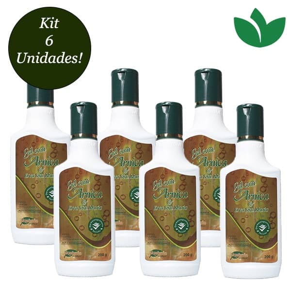Kit Com 6 Unidades Gel Com Arnica e Erva Santa Maria 200g Alquimia Cosméticos