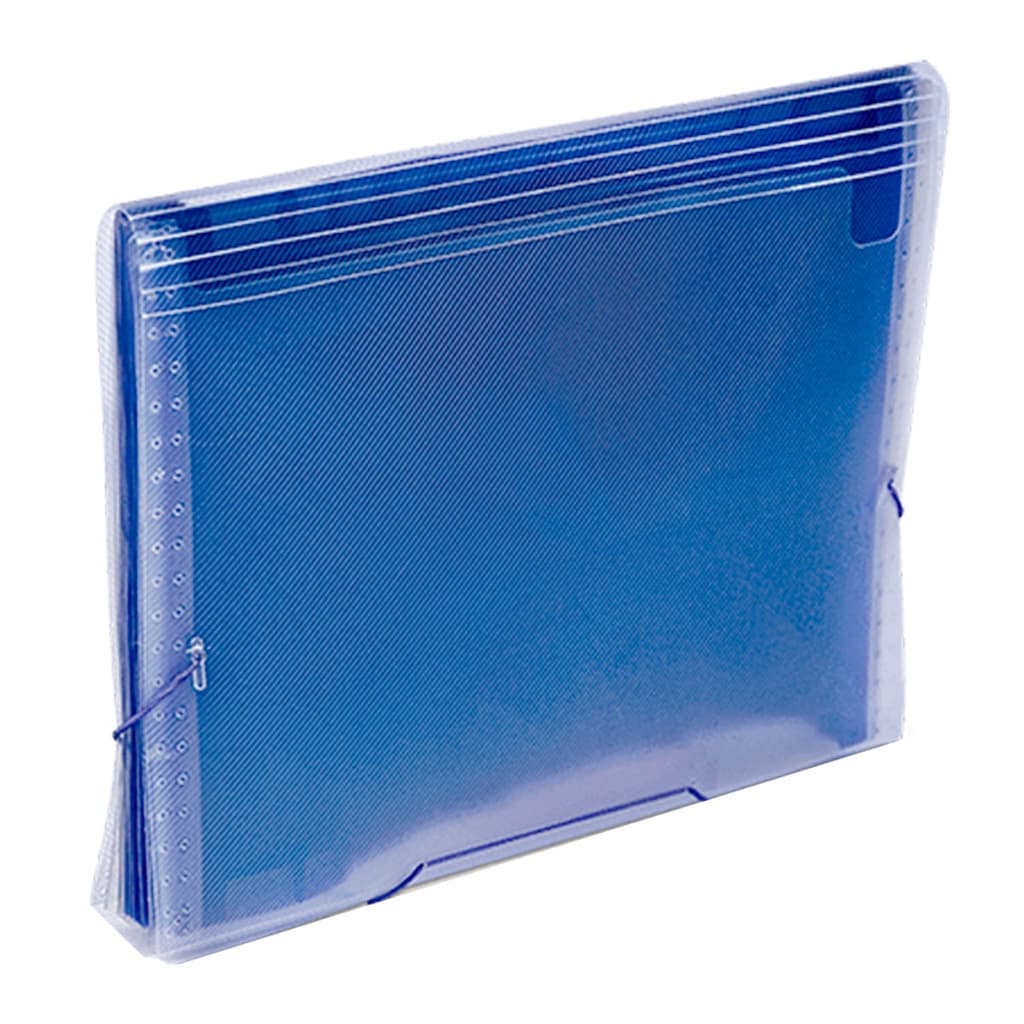 Pasta Sanfonada A4 Miolo Colorido C/12 Divisórias Organização De Documentos e Papéis Polibras