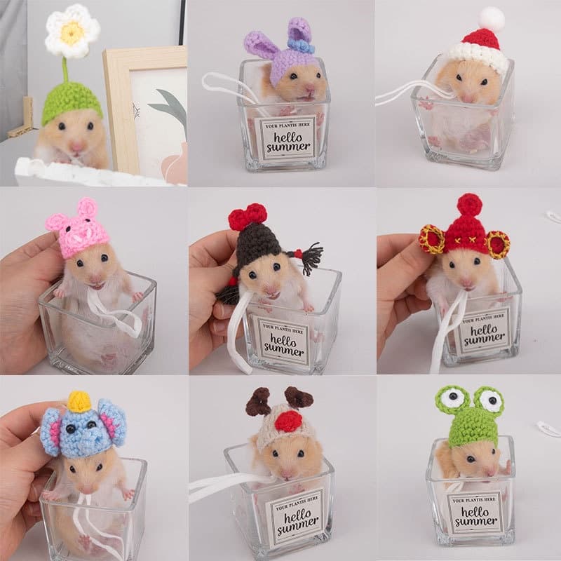 Bonito Chapéu De Hamster Série Ursos Dourados Tiram Boas Fotos Pura Capa De Cabeça Feita À Mão Alta Qualidade