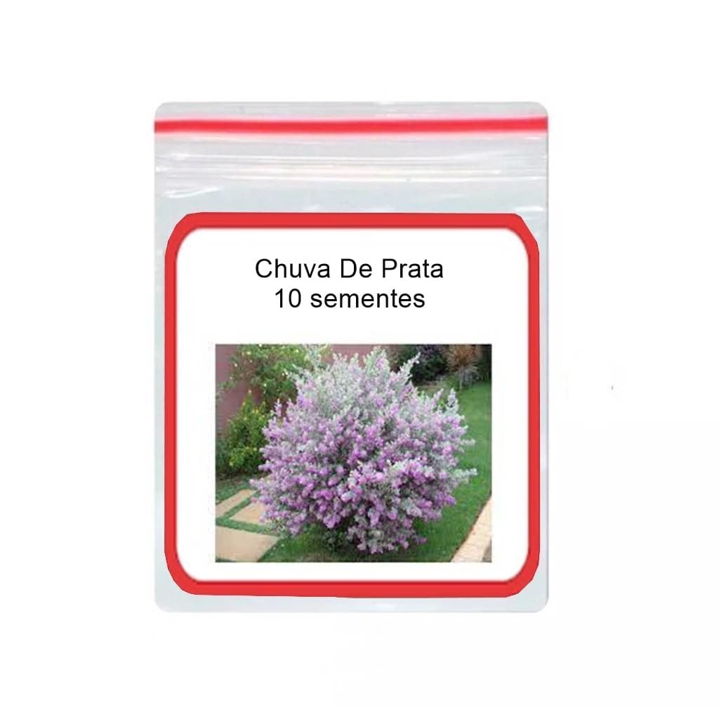 Chuva De Prata Rosa ornamental 10 Sementes