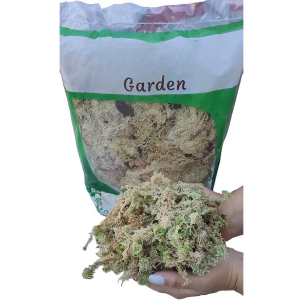 3 Litros Musgo Esfagno Orgânico Substrato Orquídeas Sphagnum