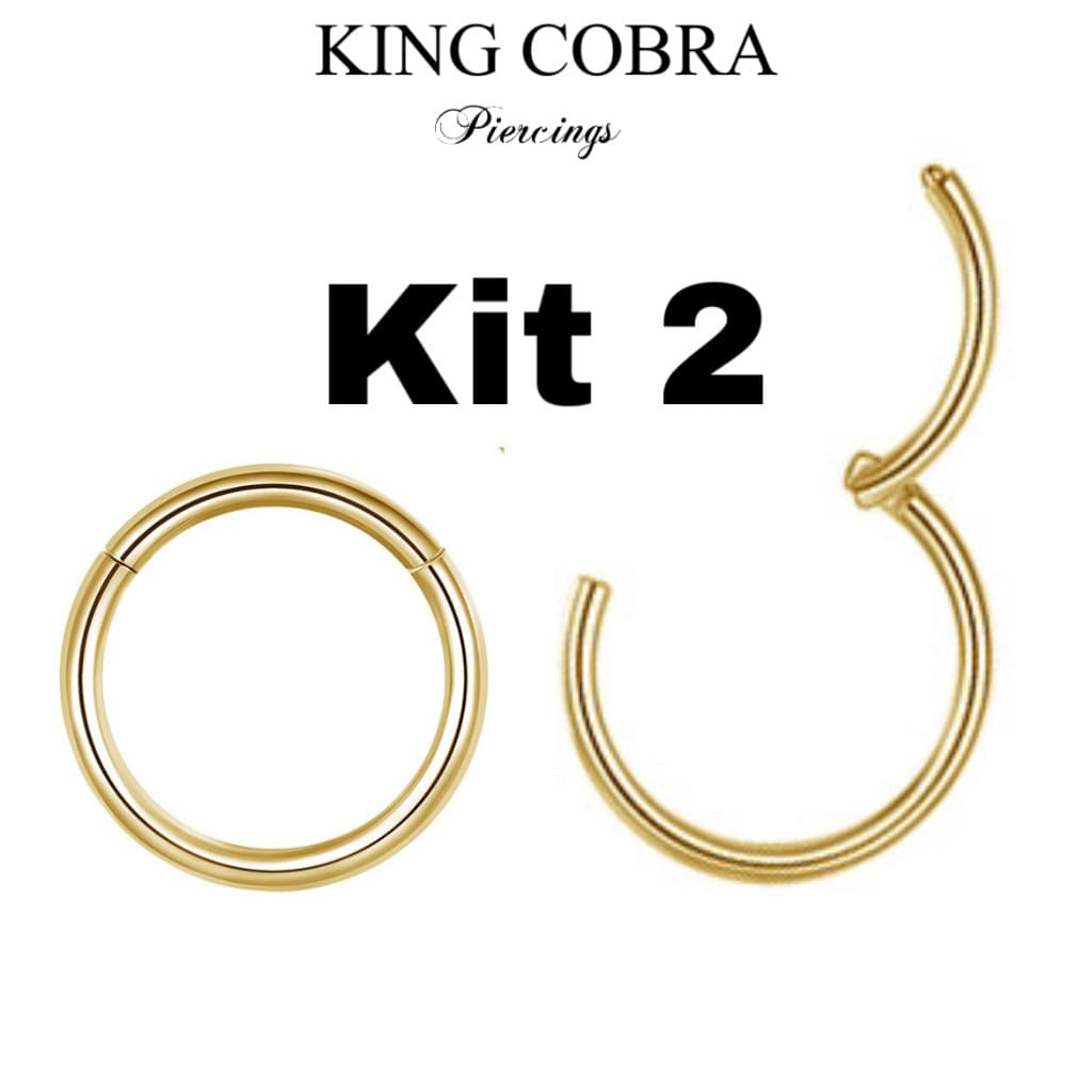 Kit 2 Piercing Argola Segmento Articulado Aço cirúrgico Nariz/helix KA205