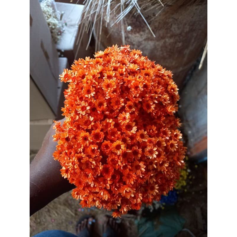 flor sempre viva 2 buquês na cor laranja na promoção