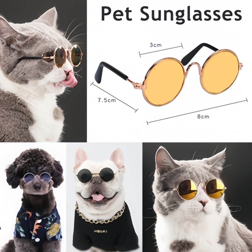 8 Peças Óculos para Pet Animal de Estimação gato cachorro coelho de mini e pequeno porte