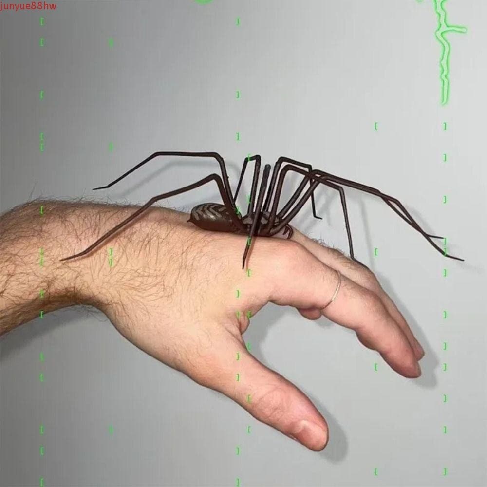 Brinquedo De Aranha De Simulação JUNYUE , Decoração De Aranhas Engraçadas , Brinquedos De Brincadeira Plástico Animal Co