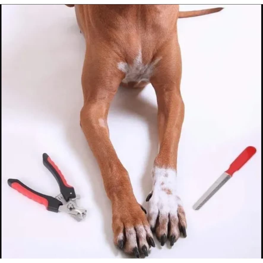 Cortador de Unhas e Lixa Colosso para Cães e Gatos Grande,ATACADAO-BAZAR