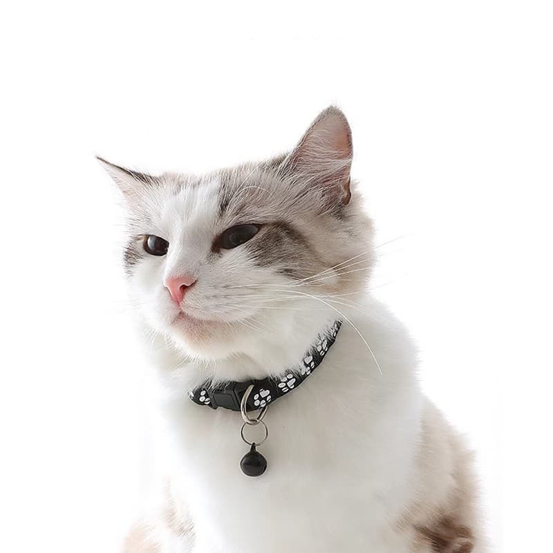 Coleira Teddy Ajustável Universal para Cães e Gatos com Sino