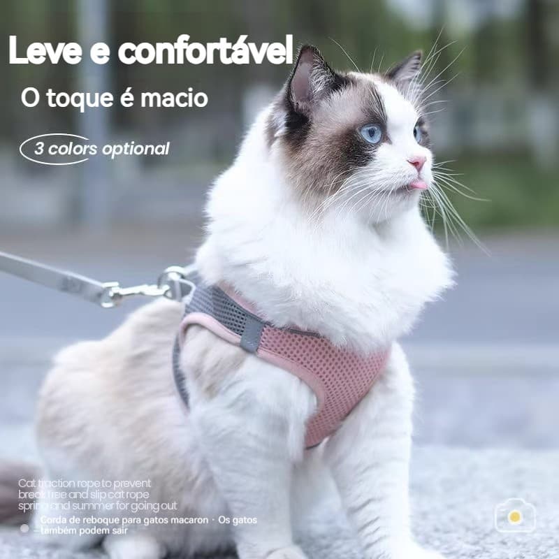 Reflexivo pectoral Para Turfar Conforto Colete De Luxo Com Guia Coleira de Cachorro Peitoral Trela Para Cães Cão