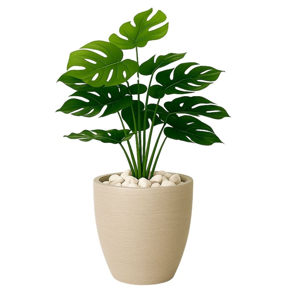 Costela De Adão Artifical + Vaso Polietileno Completo Cores