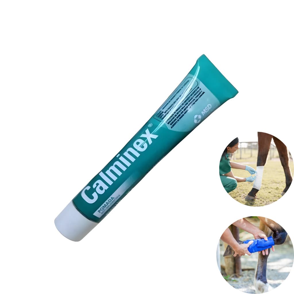 Calminex Pomada 30g Anti-Inflamatória Dores Pancadas Contusão Muscular
