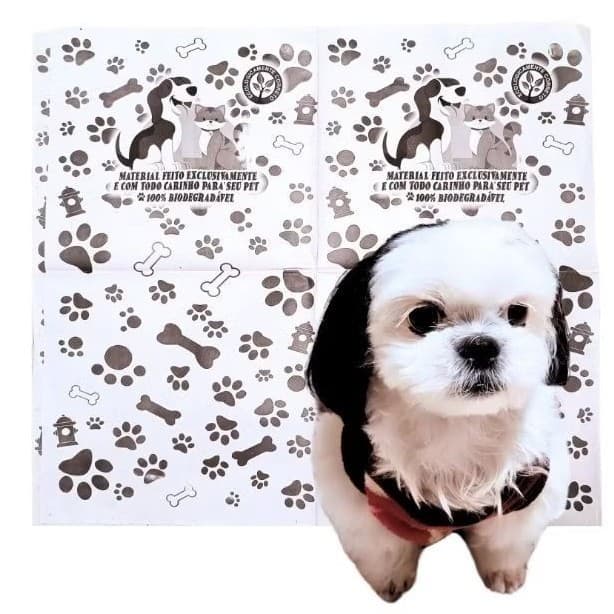 Jornal pet virgem sem cheiro aproximadamente 5kg  folhas papel limpo e maxima absorção