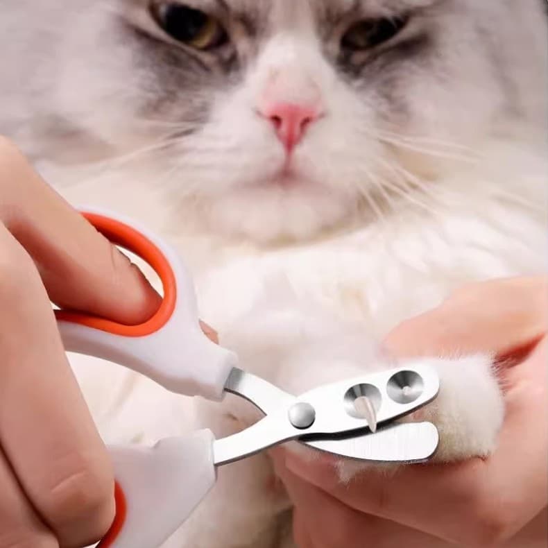 ortador De Unhas Alicate Com Furo Para Gato Corte Preciso Evita Sangramento Aço Inoxidável Tesoura LR-0217