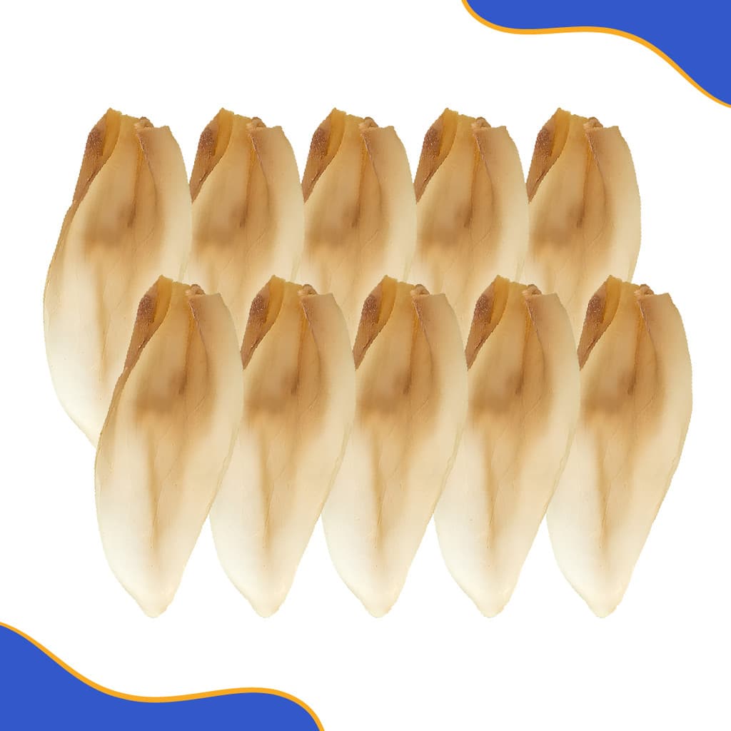 Kit 10 Orelhas Bovinas Para Cães Filhotes Antistress