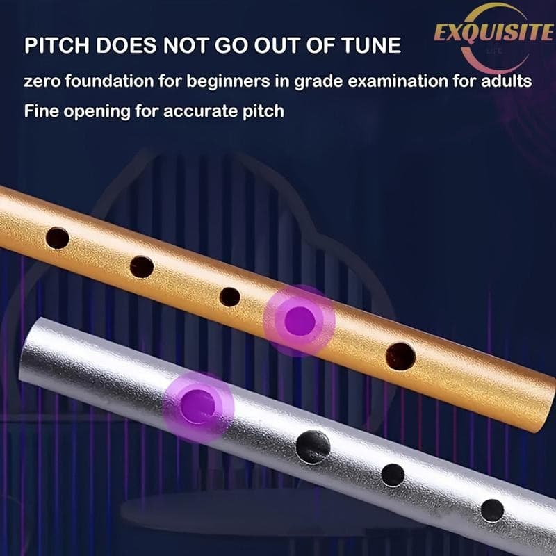 [EL] 1 Pc Autêntico Apito Irlandês Flauta C/D Chave Tin Penny Whistle Com 6 Furos Perfeito Tradicional Música Irlandesa 