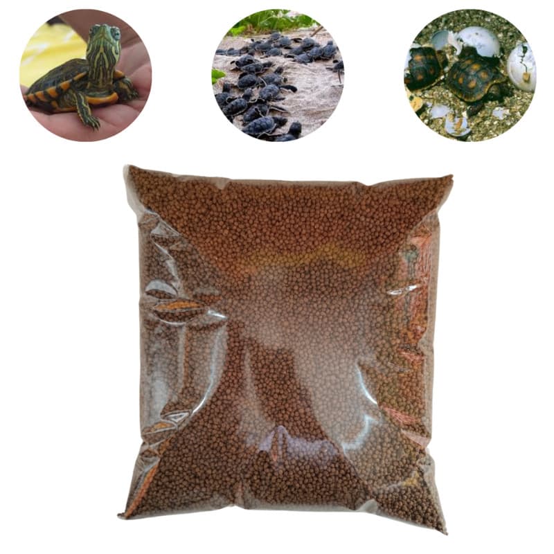 Ração Tartaruga Filhote Completa 200 Gr Jabuti E Aquáticas