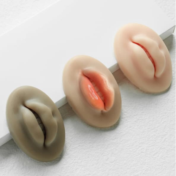 Boca Lábios Sintética Silicone Para Treino Micropigmentação Labial Maquiagem Profissional