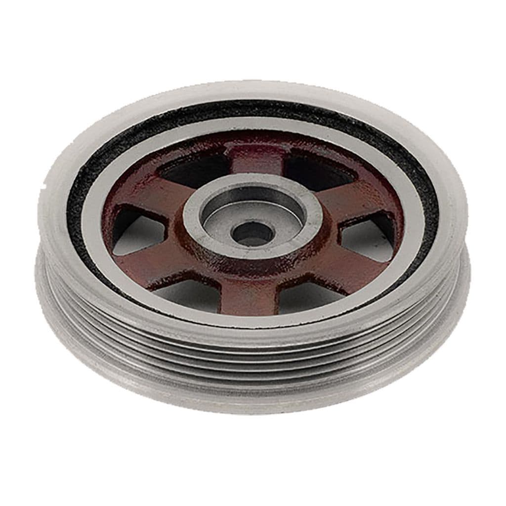 Polia Motor ARGO 2017/2021  - 54899 - T494