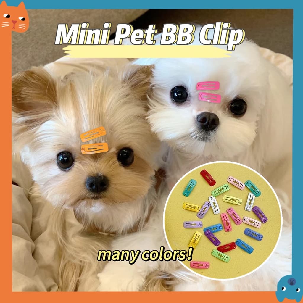 2cm Mini Clip BB De Pêlo De Animal De Estimação Pequeno Grampo Quadrado Colorido De Frutas Cristalizadas Teddy Dog