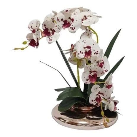 Orquídea Galho Haste Flores Pintada Decoração Decoração Enfeite