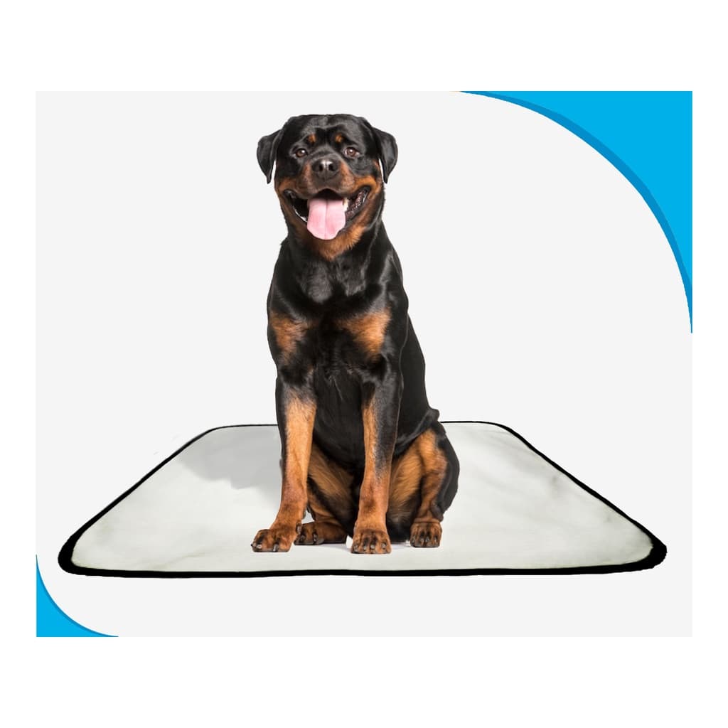 Tapete para cães Higiênico em oferta 2 un G 90x100cm