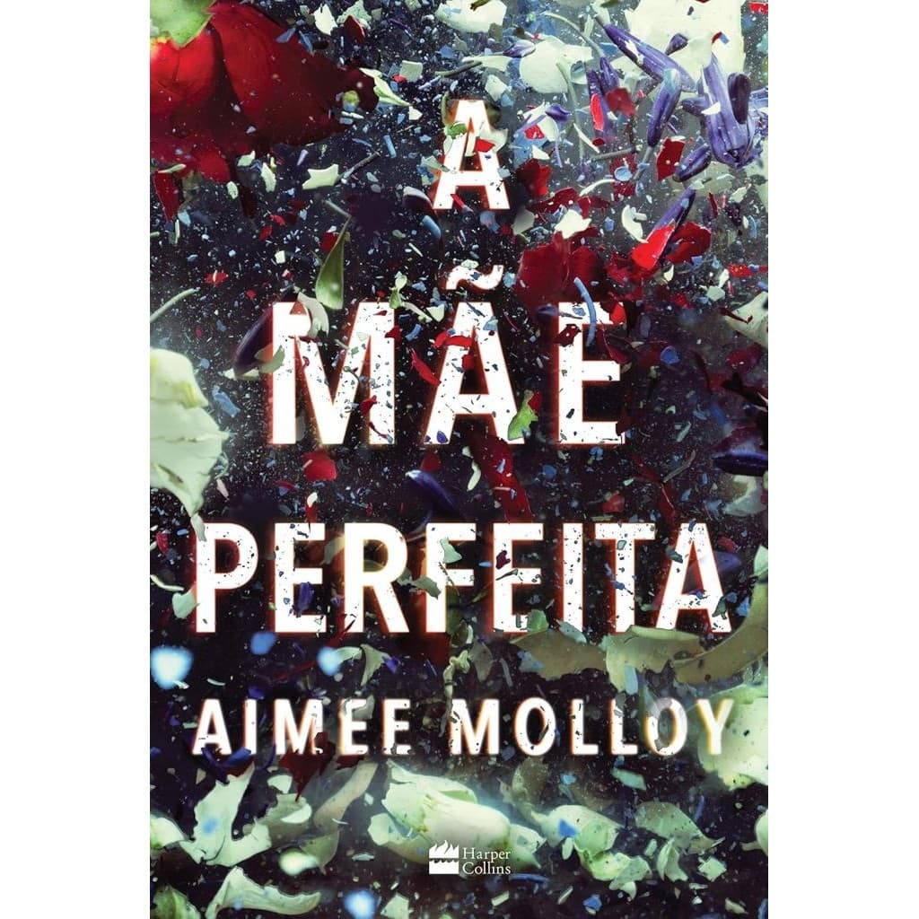 Livro: A Mãe Perfeita Autor: Aimee Molloy (Novo, Lacrado)