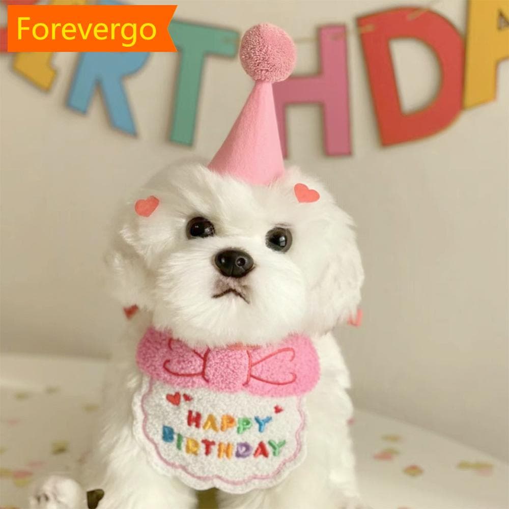 forevergo Pet Birthday Costume Dog Feliz Aniversário Chapéu Babete Acessório Para Festa Decoração Gato Q2W2